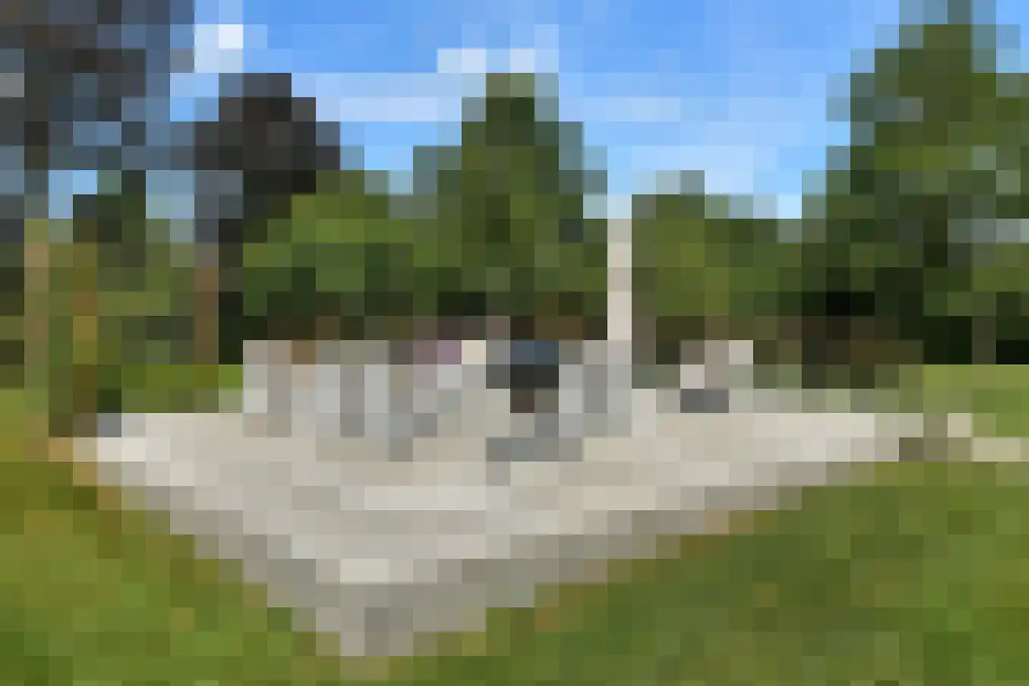 Rijkerswoerdsestraat 10 Elst thumbnail 63