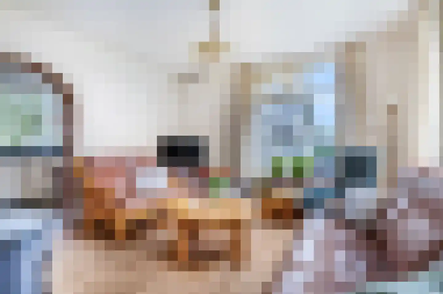 Rijkerswoerdsestraat 11 Arnhem thumbnail 10