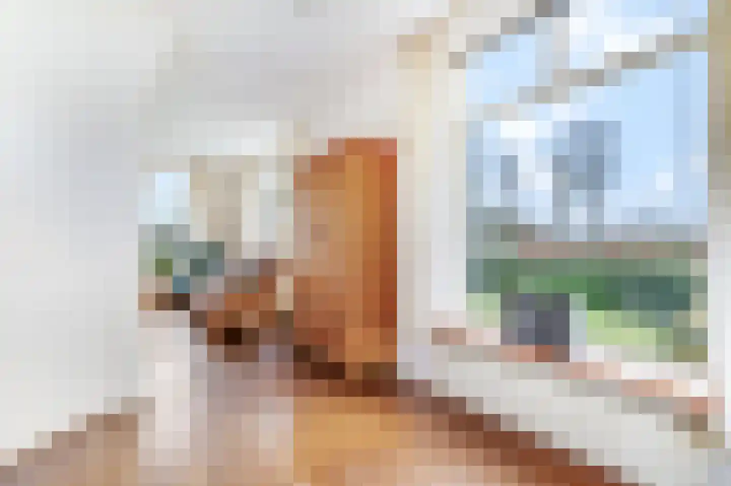 Rijkerswoerdsestraat 11 Arnhem thumbnail 4