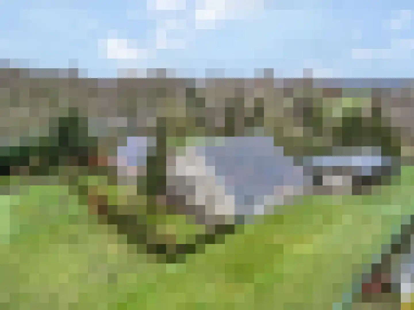 Rijkerswoerdsestraat 11 Arnhem thumbnail 53