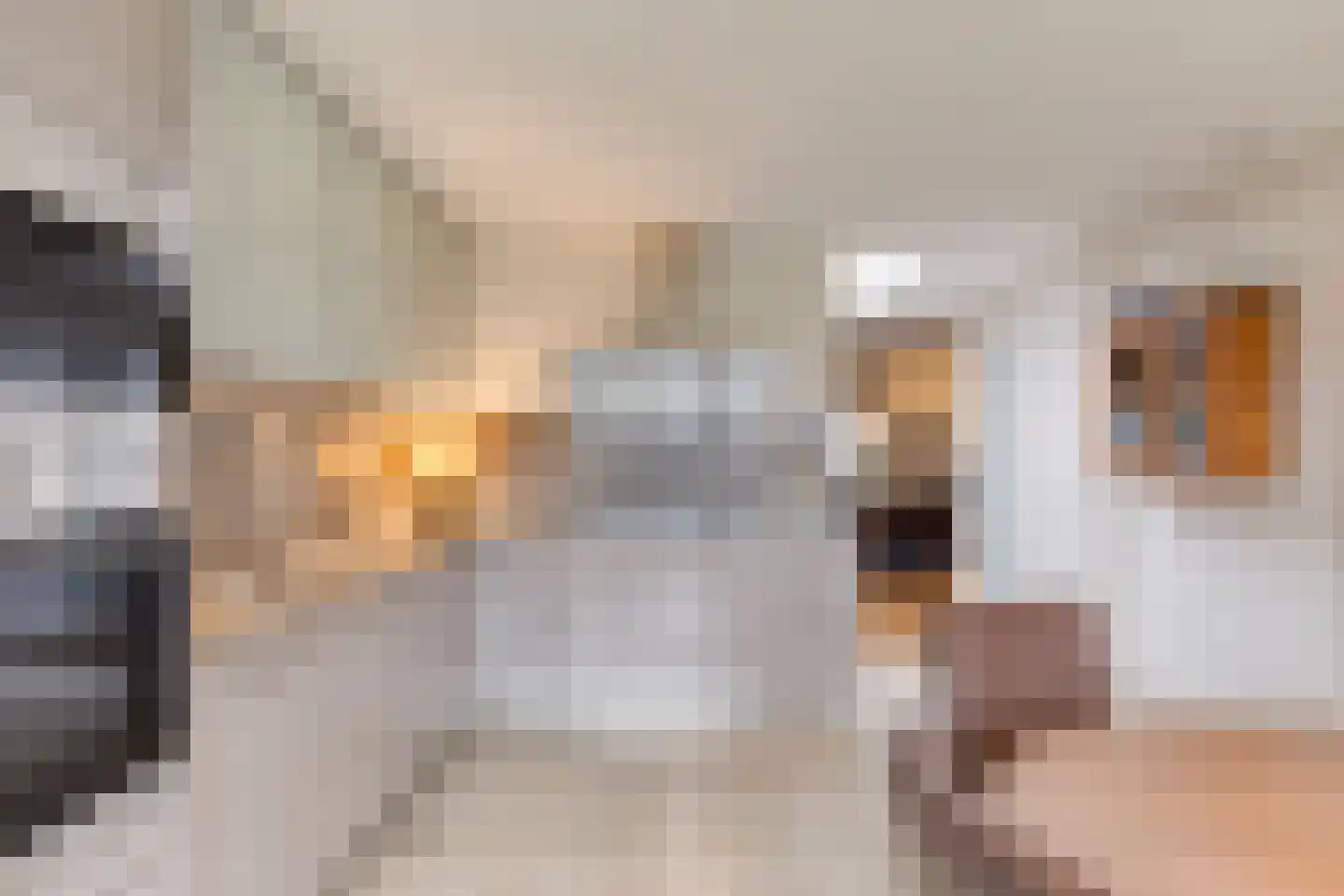 Rijkesluisstraat 38 Oirschot thumbnail 22