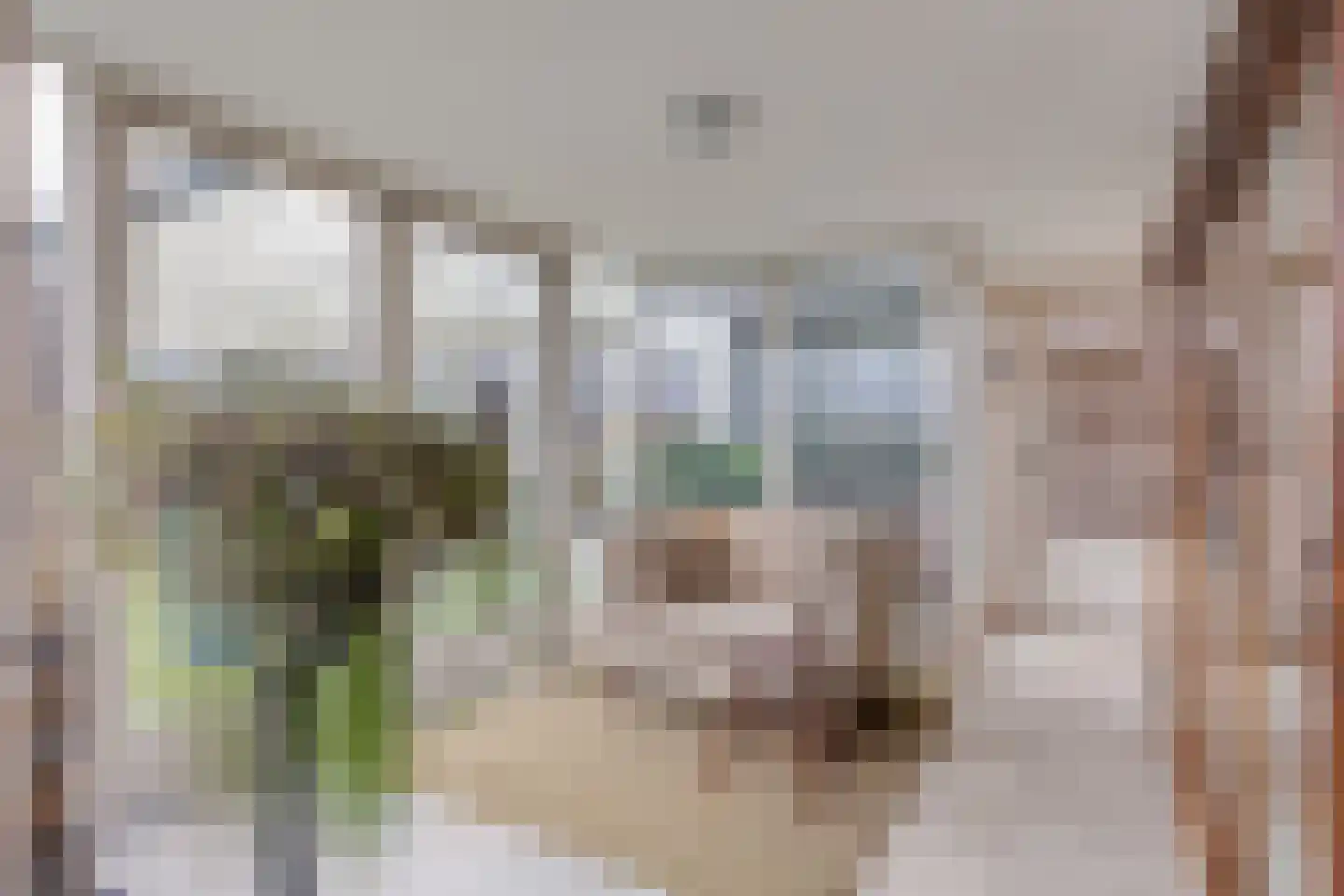 Rijkesluisstraat 38 Oirschot thumbnail 33