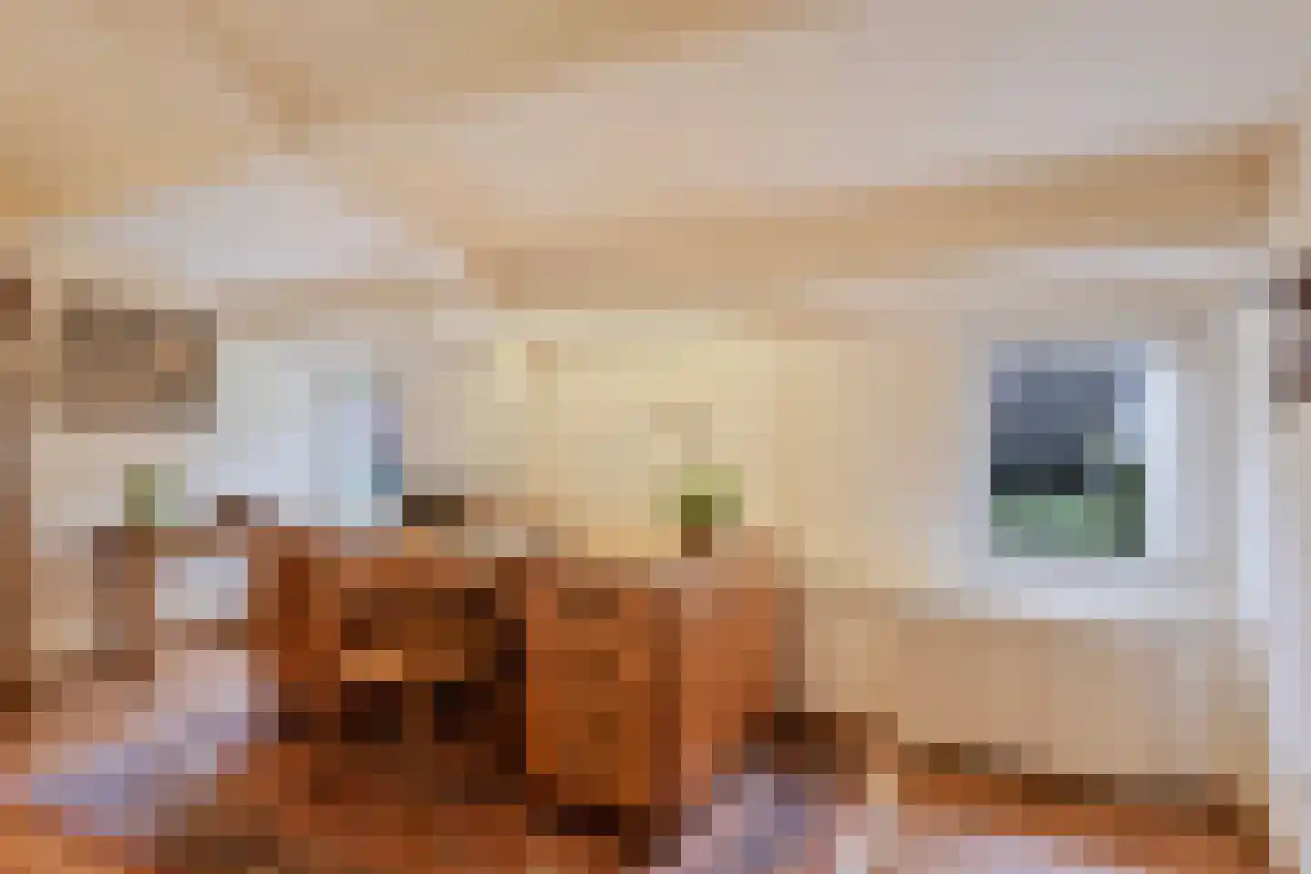 Rijkesluisstraat 38 Oirschot thumbnail 38