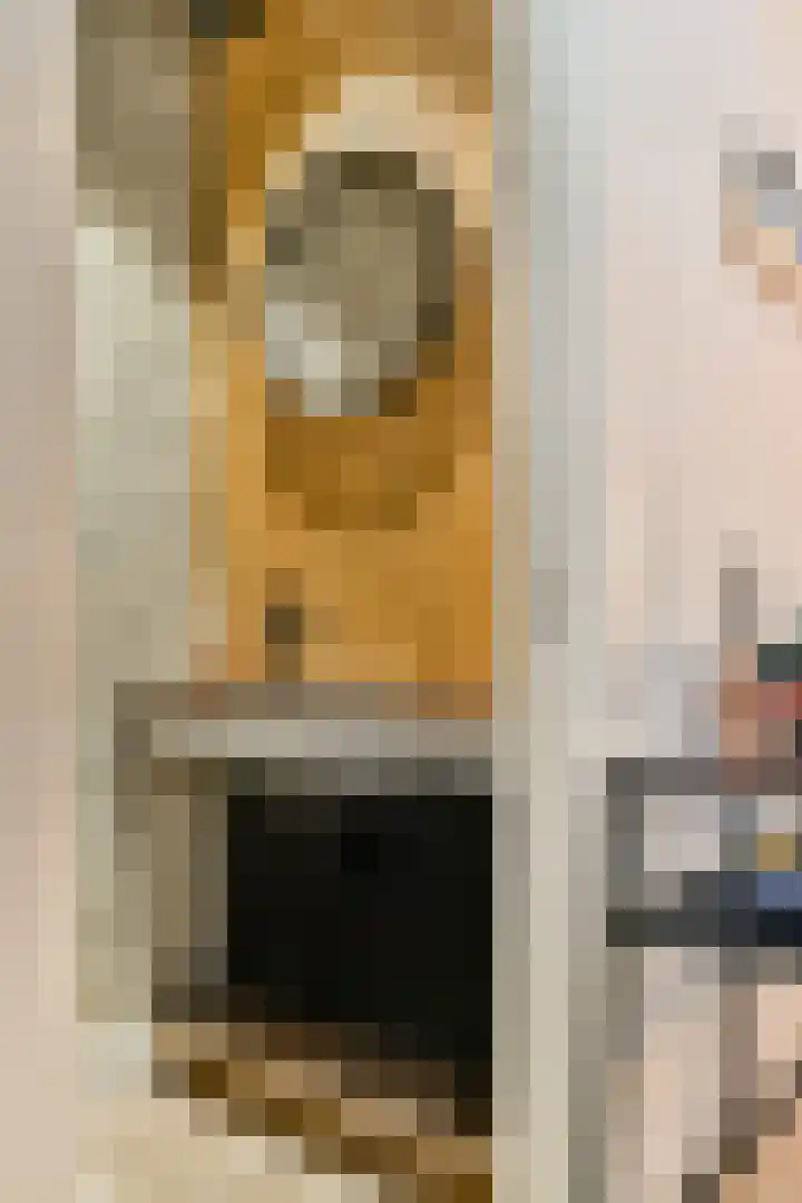 Rijkestraat 5 Vlaardingen thumbnail 11