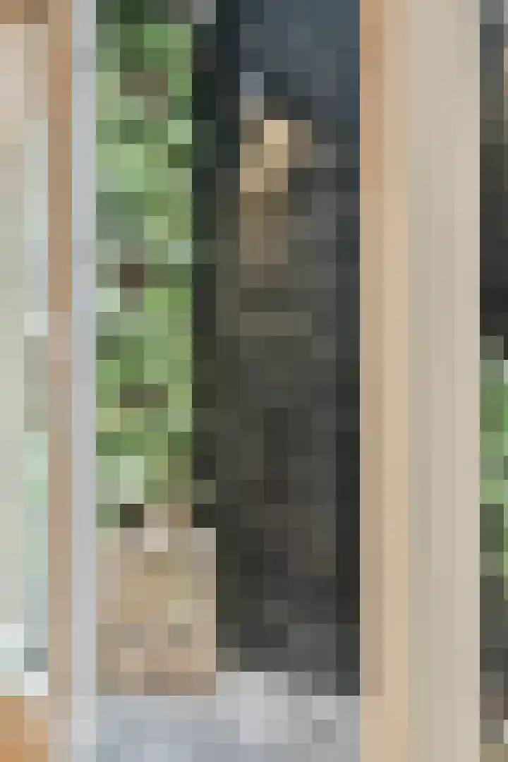 Rijkestraat 5 Vlaardingen thumbnail 18