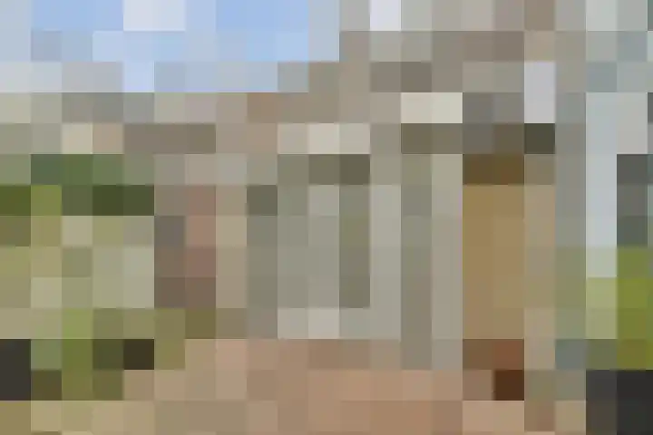 Rijkestraat 5 Vlaardingen thumbnail 26