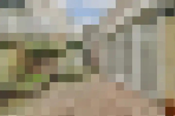 Rijkestraat 5 Vlaardingen thumbnail 27