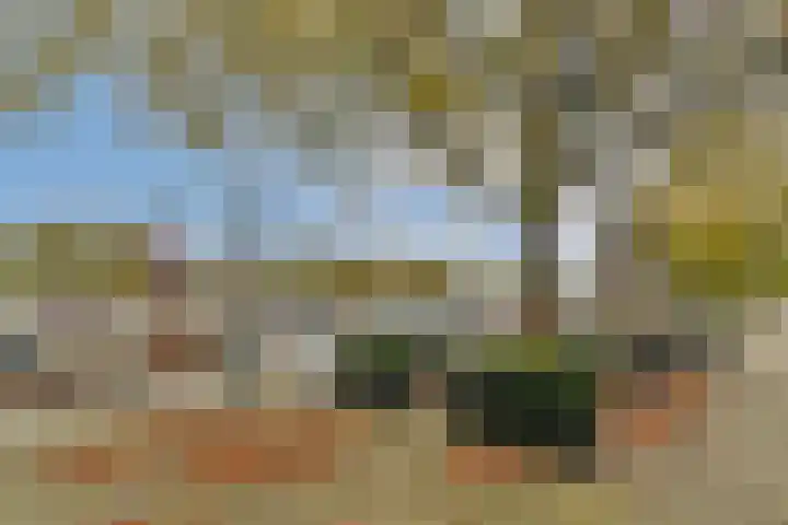 Rijkestraat 5 Vlaardingen thumbnail 31