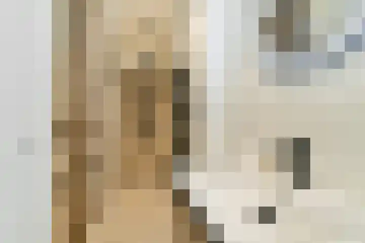 Rijkestraat 5 Vlaardingen thumbnail 4