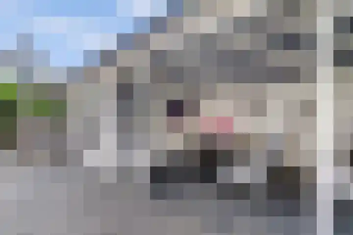 Rijkestraat 54 's-Gravendeel thumbnail 24