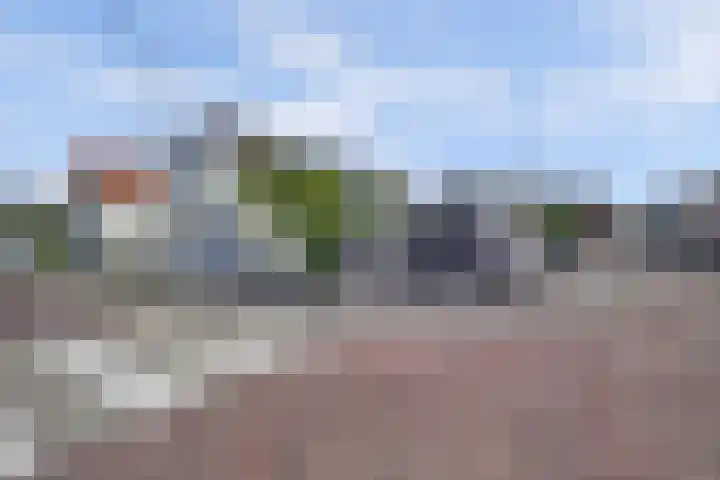 Rijkestraat 54 's-Gravendeel thumbnail 4