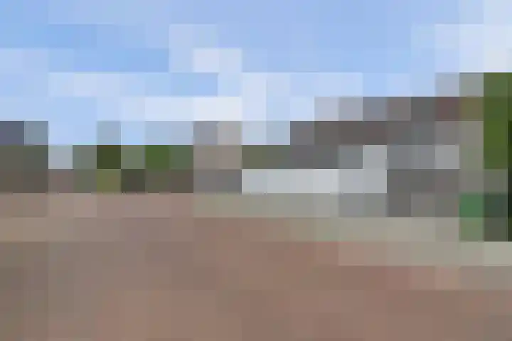 Rijkestraat 54 's-Gravendeel thumbnail 6