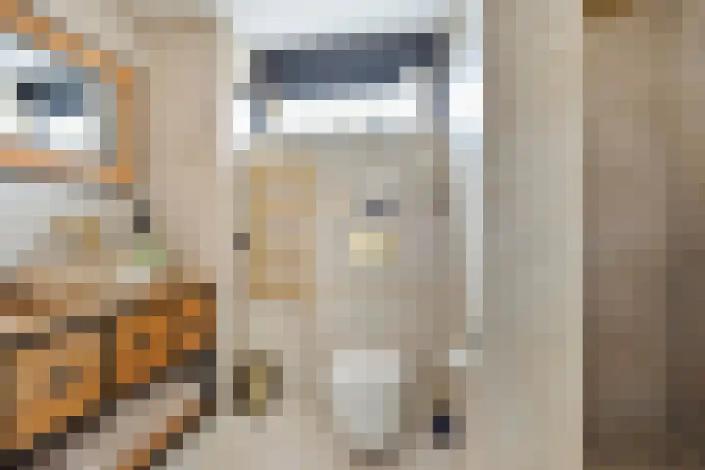 Rijkevoortstraat 14 Tilburg thumbnail 20
