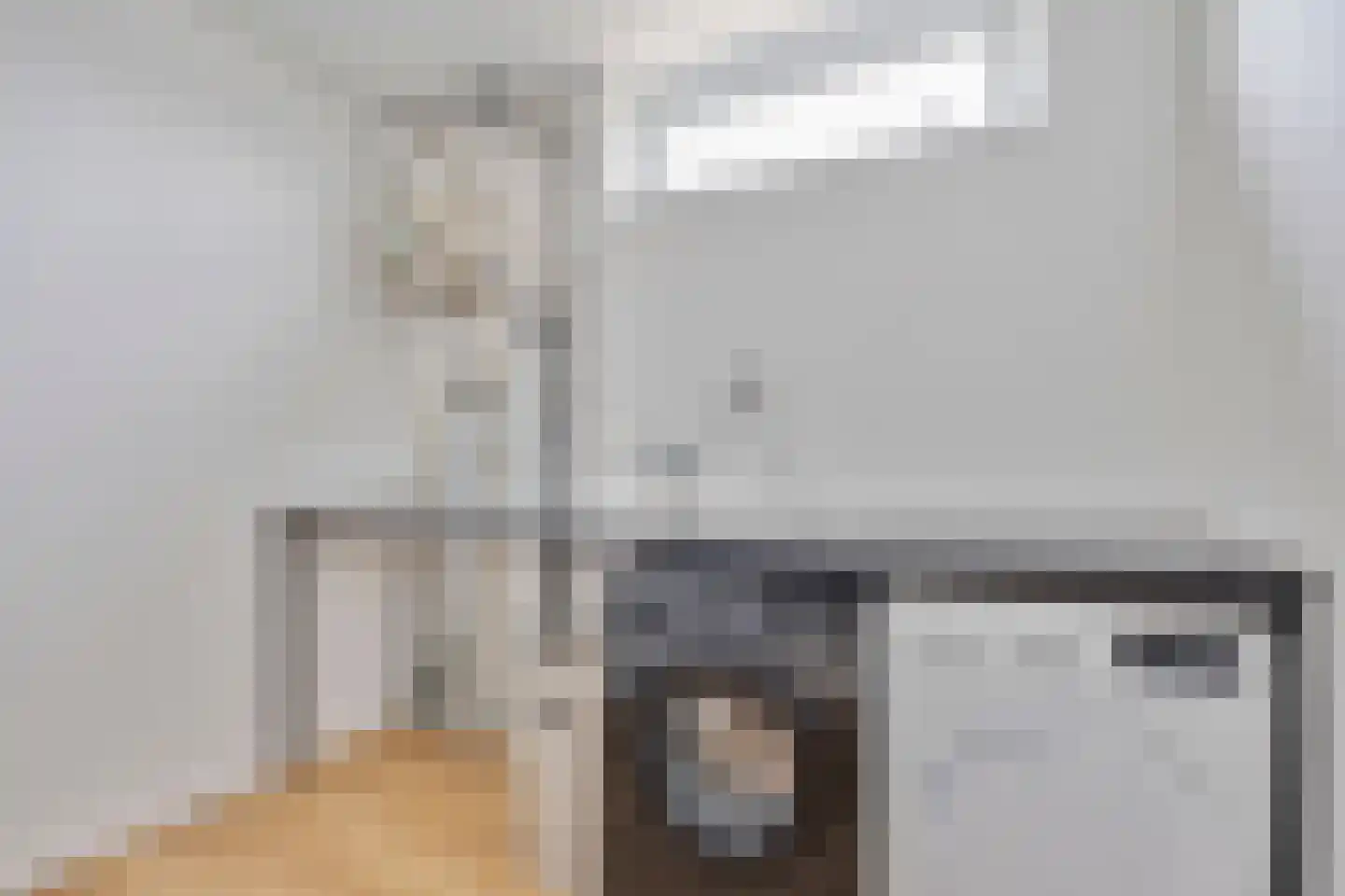 Rijkevoortstraat 14 Tilburg thumbnail 26