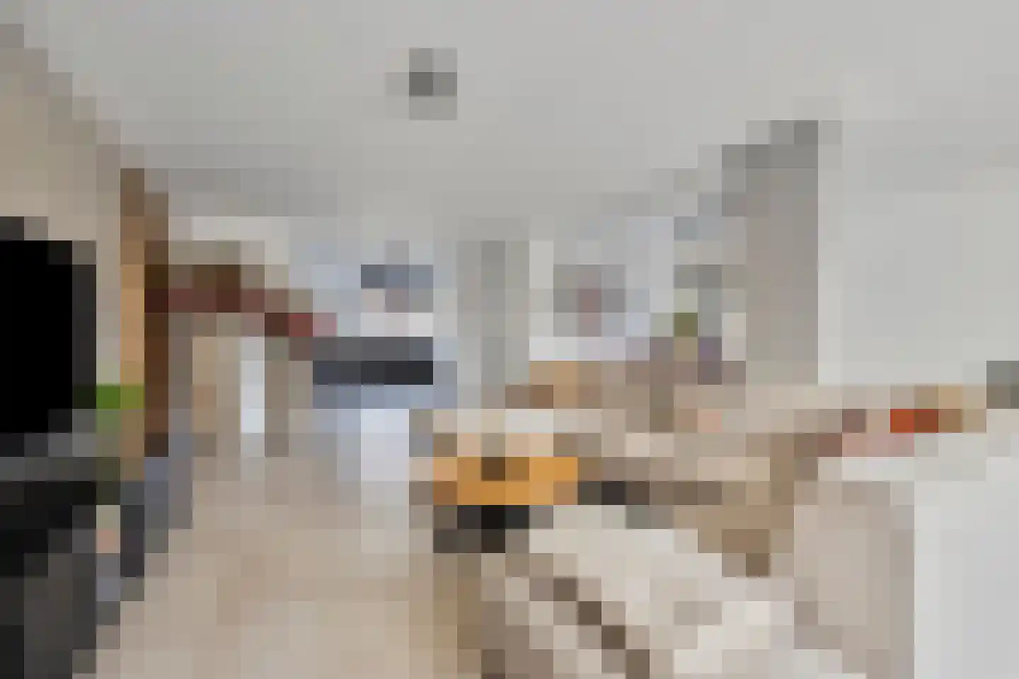Rijkevoortstraat 14 Tilburg thumbnail 4