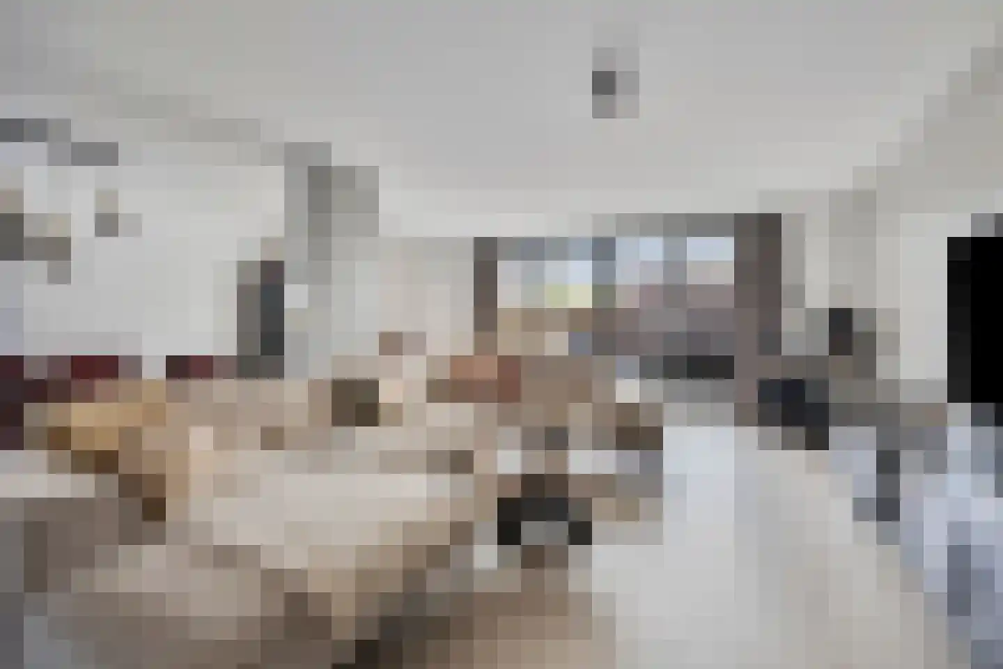 Rijkevoortstraat 14 Tilburg thumbnail 5