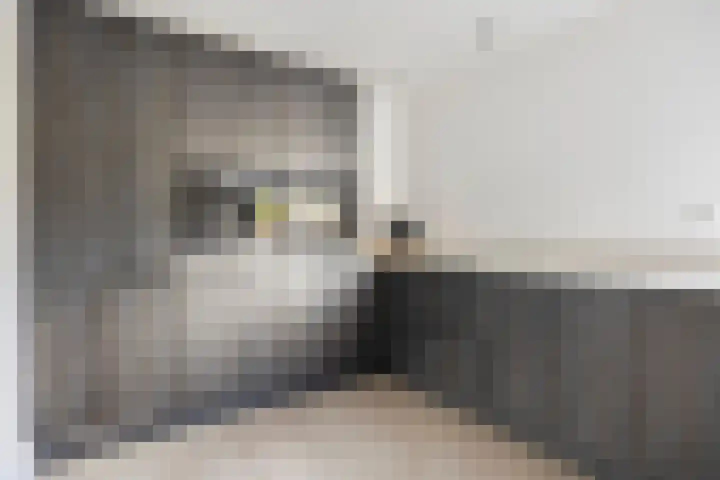Rijkevoortstraat 14 Tilburg thumbnail 9