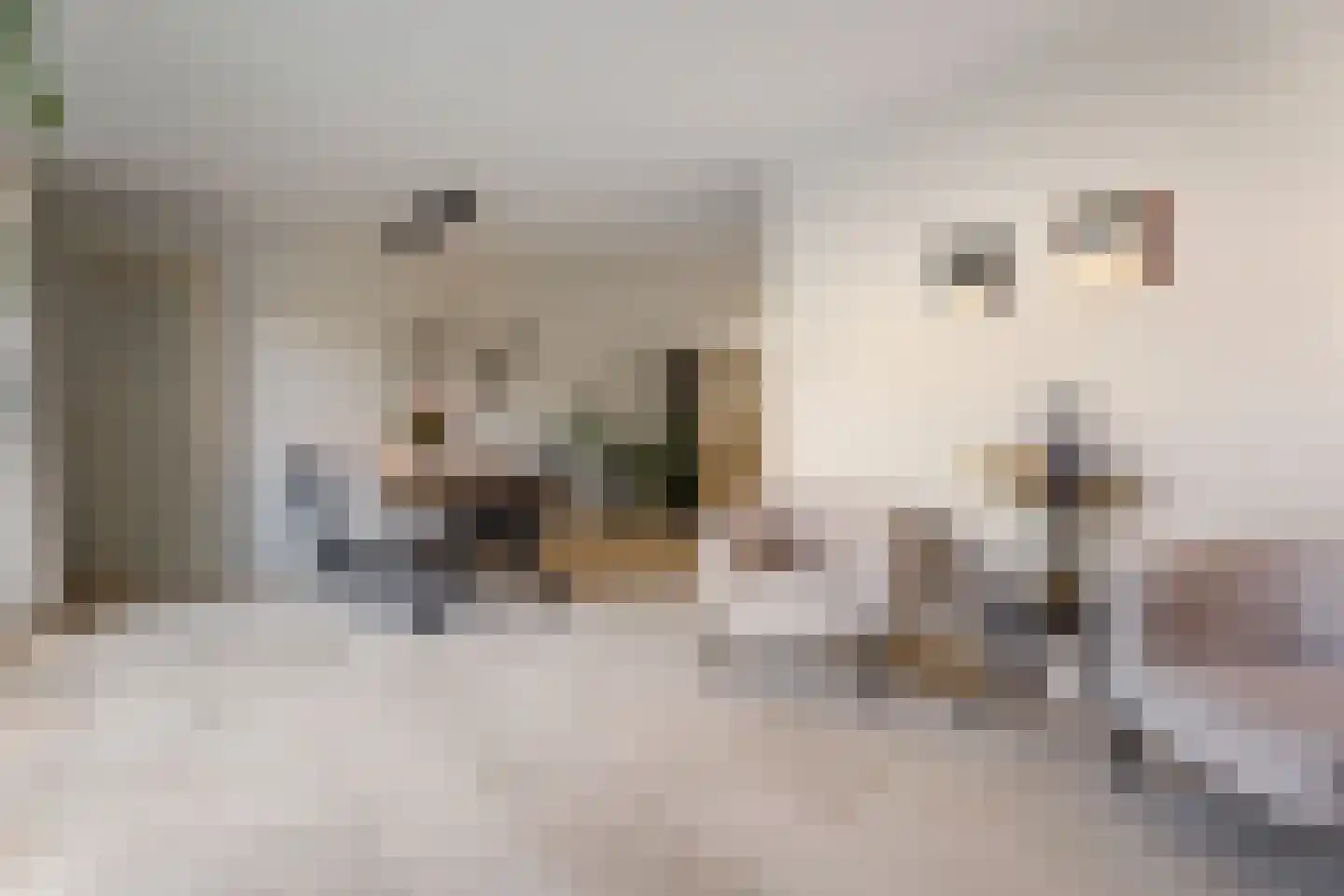 Rijkevoortstraat 7 Tilburg thumbnail 11