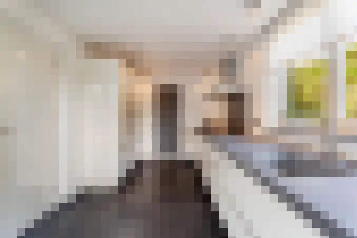 Rijkevoortstraat 7 Tilburg thumbnail 12