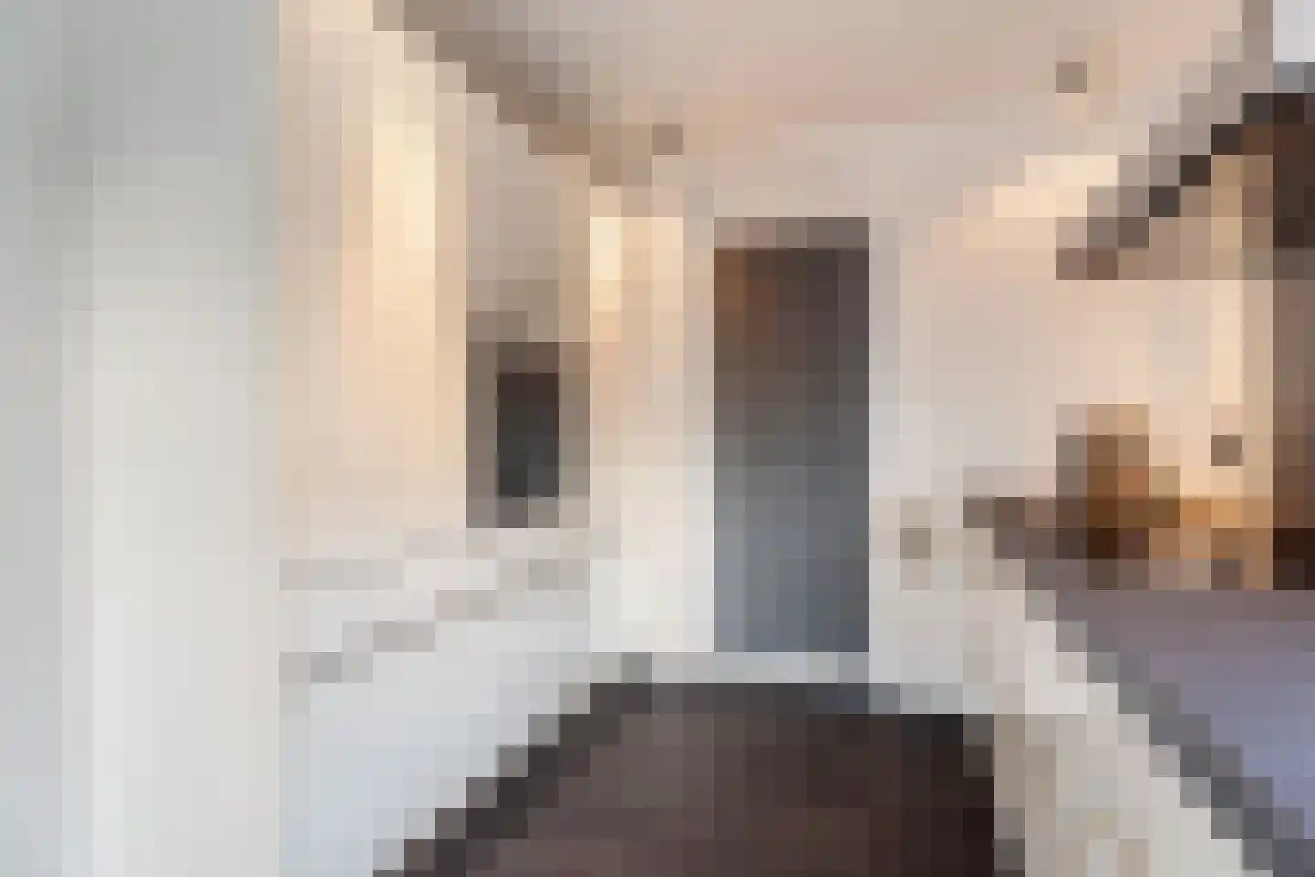 Rijkevoortstraat 7 Tilburg thumbnail 14
