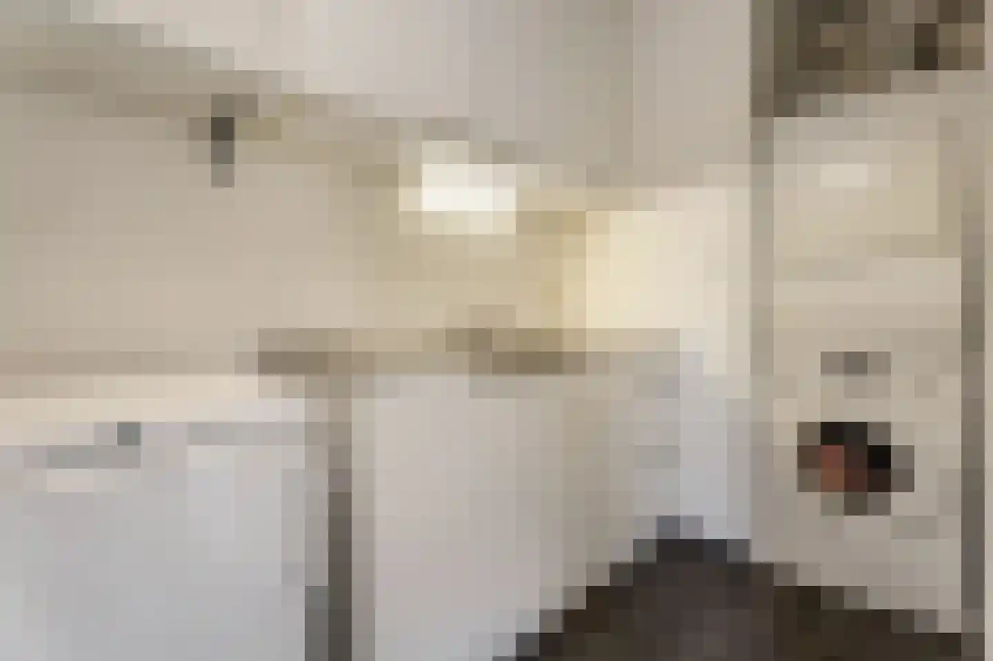 Rijkevoortstraat 7 Tilburg thumbnail 16