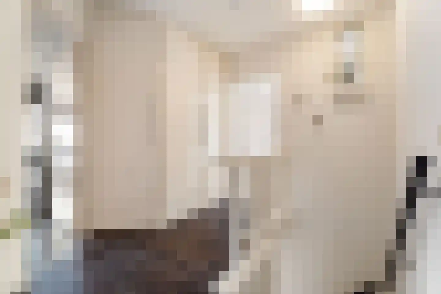 Rijkevoortstraat 7 Tilburg thumbnail 22
