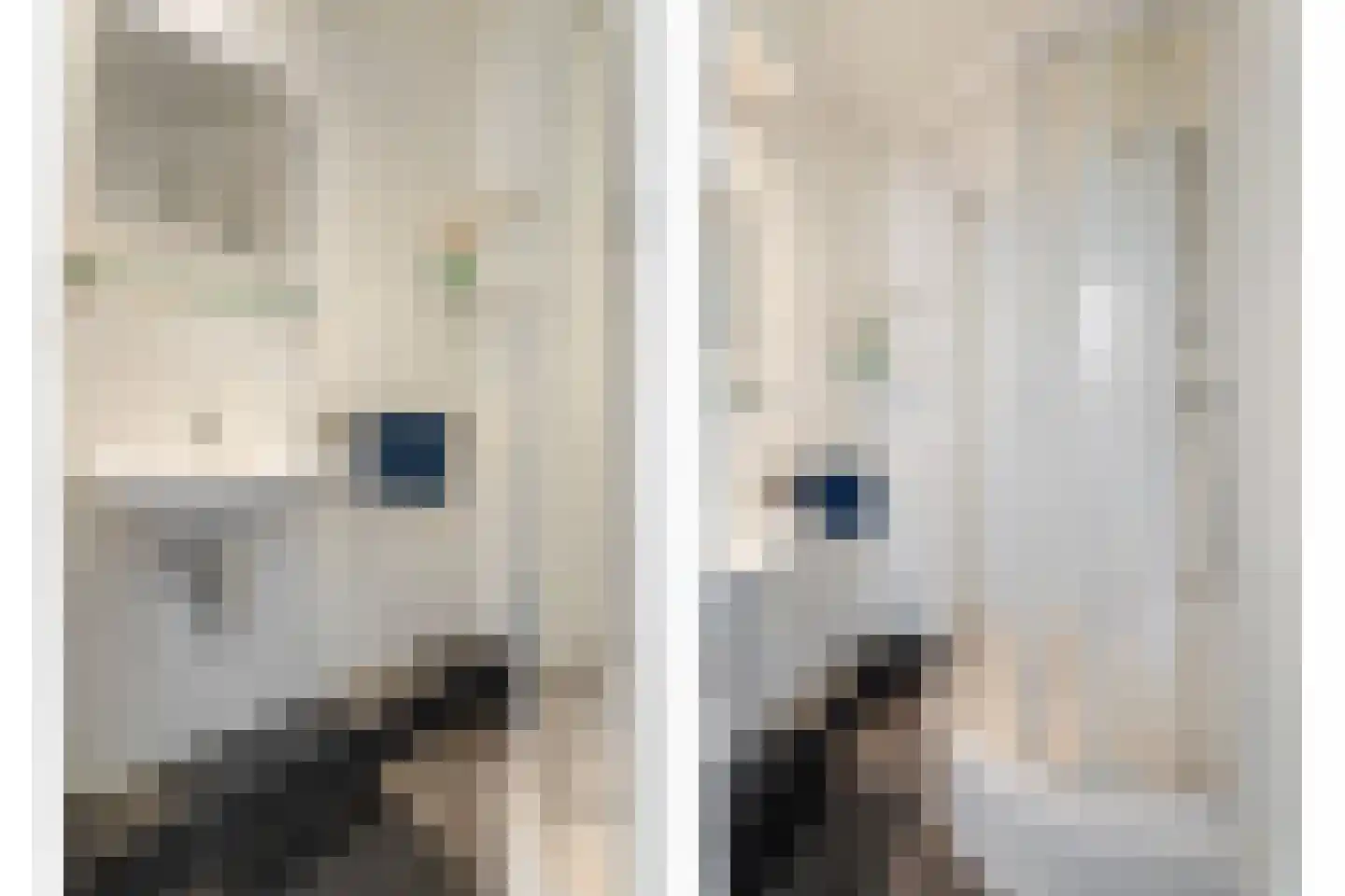 Rijkevoortstraat 7 Tilburg thumbnail 32