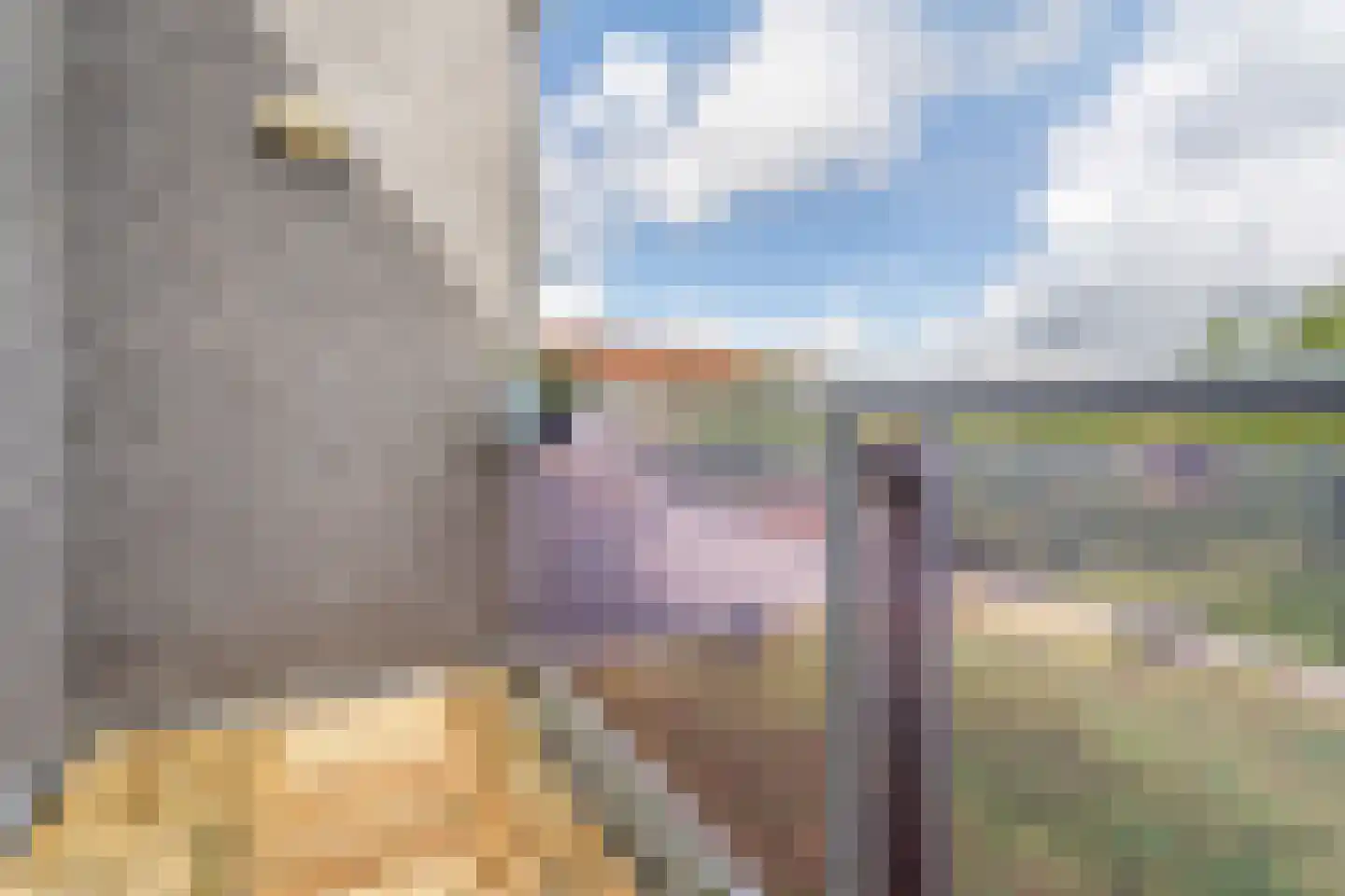 Rijkevoortstraat 7 Tilburg thumbnail 36