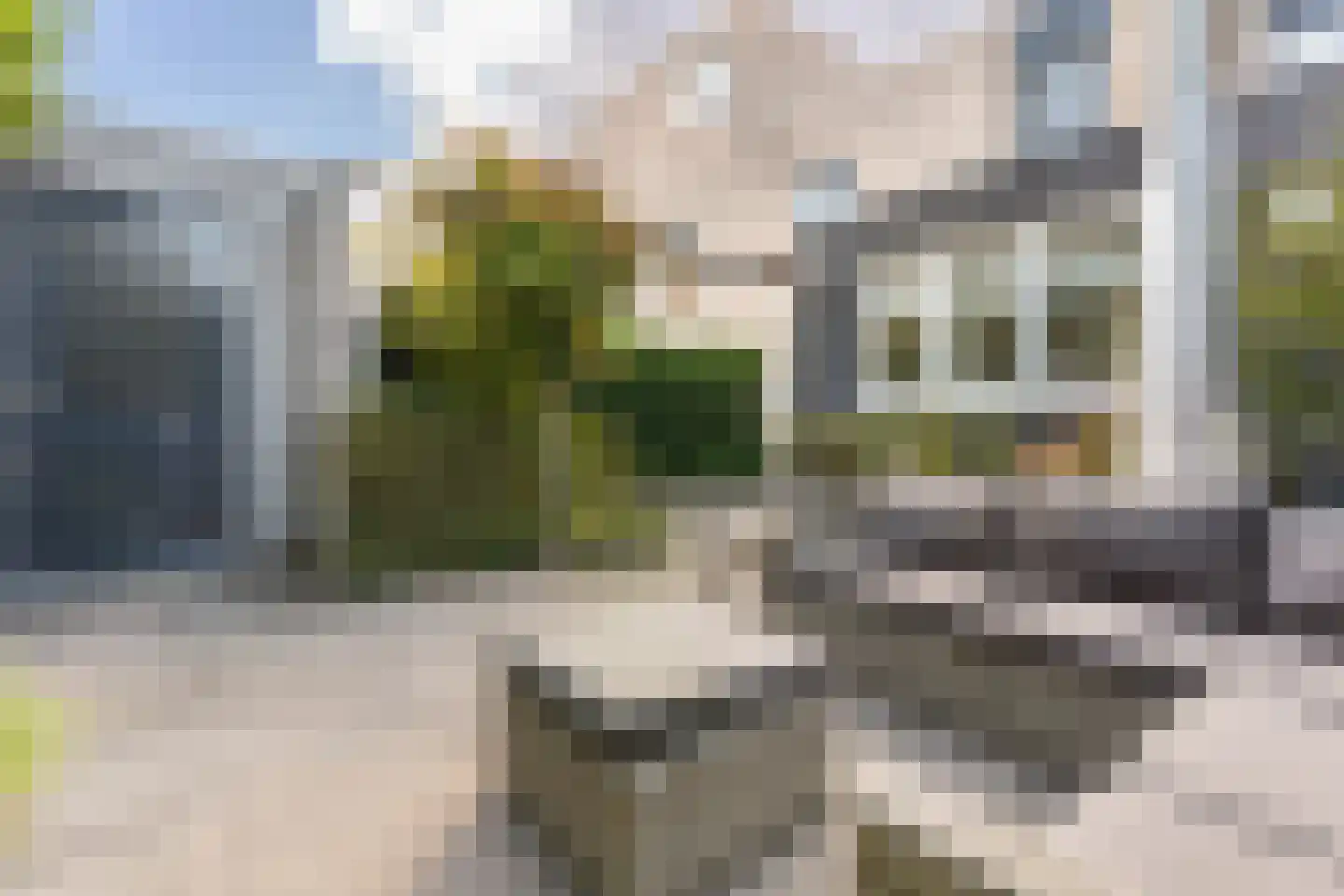 Rijkevoortstraat 7 Tilburg thumbnail 40