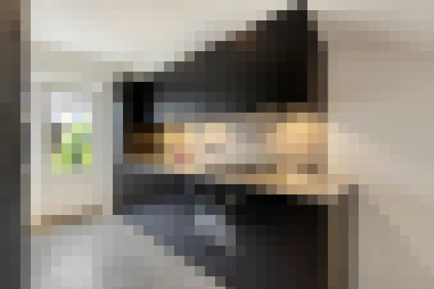 Rijkevorselstraat 1 Eindhoven thumbnail 15