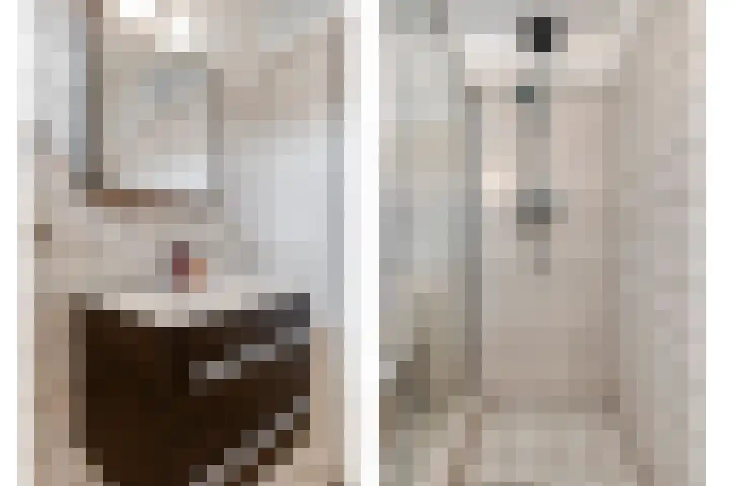 Rijkevorselstraat 1 Eindhoven thumbnail 26