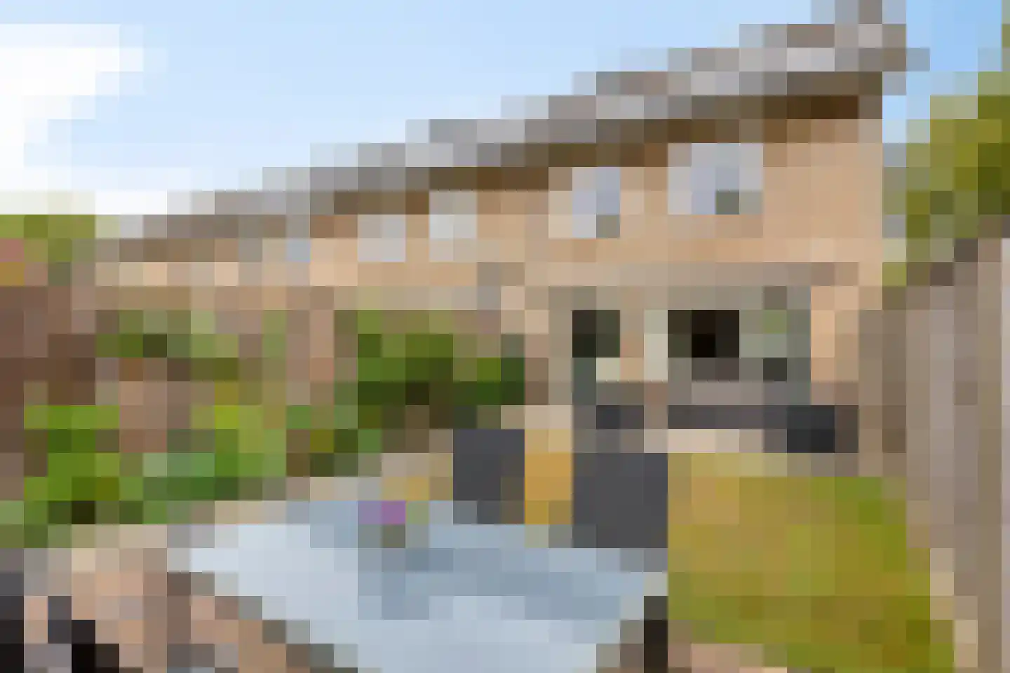 Rijkevorselstraat 1 Eindhoven thumbnail 33