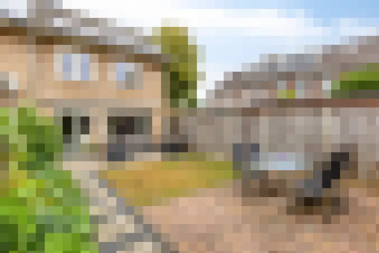 Rijkevorselstraat 1 Eindhoven thumbnail 34