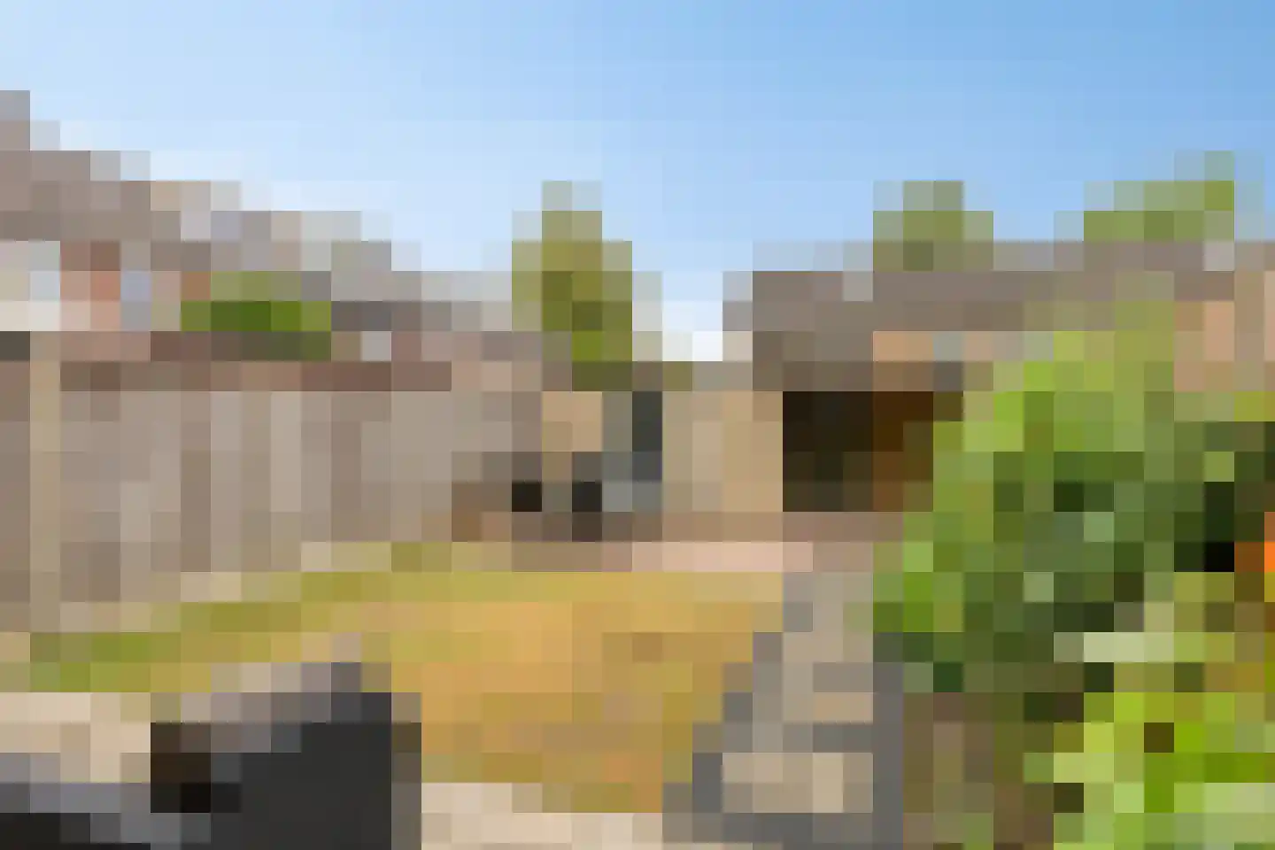 Rijkevorselstraat 1 Eindhoven thumbnail 36