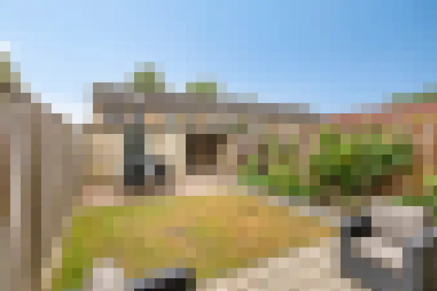 Rijkevorselstraat 1 Eindhoven thumbnail 37