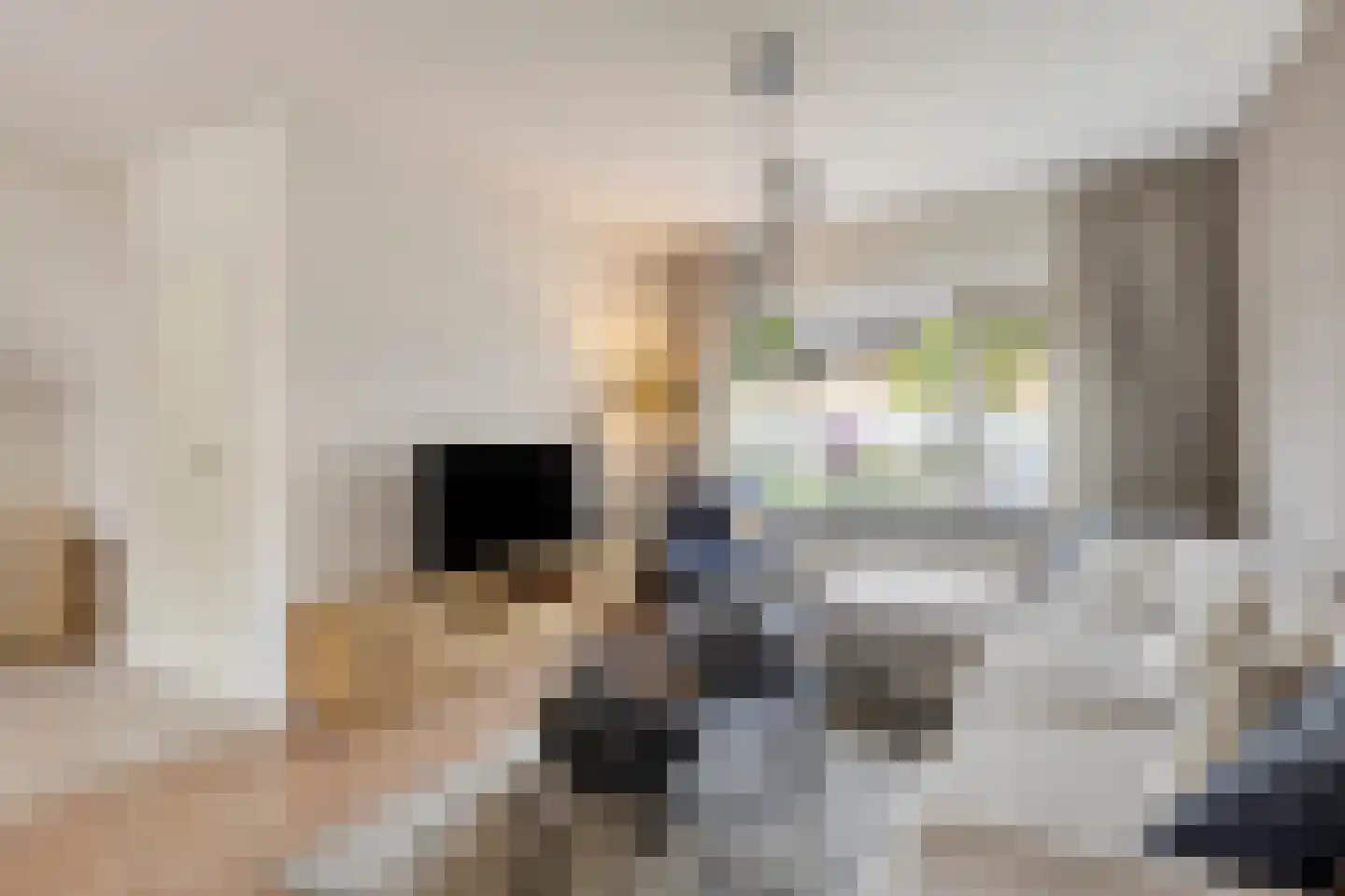 Rijkevorselstraat 1 Eindhoven thumbnail 9