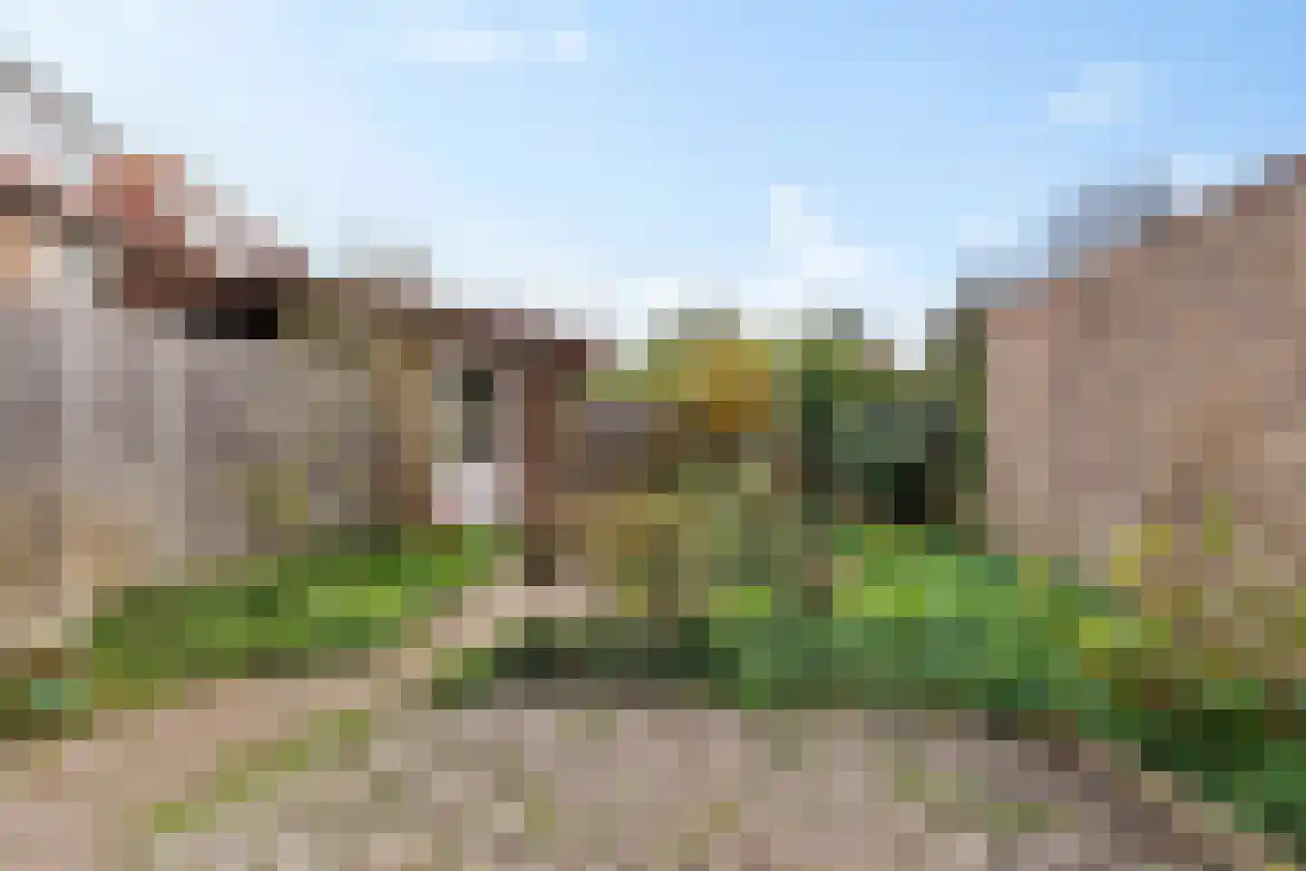 Rijklof van Goensplein 9 Haarlem thumbnail 11