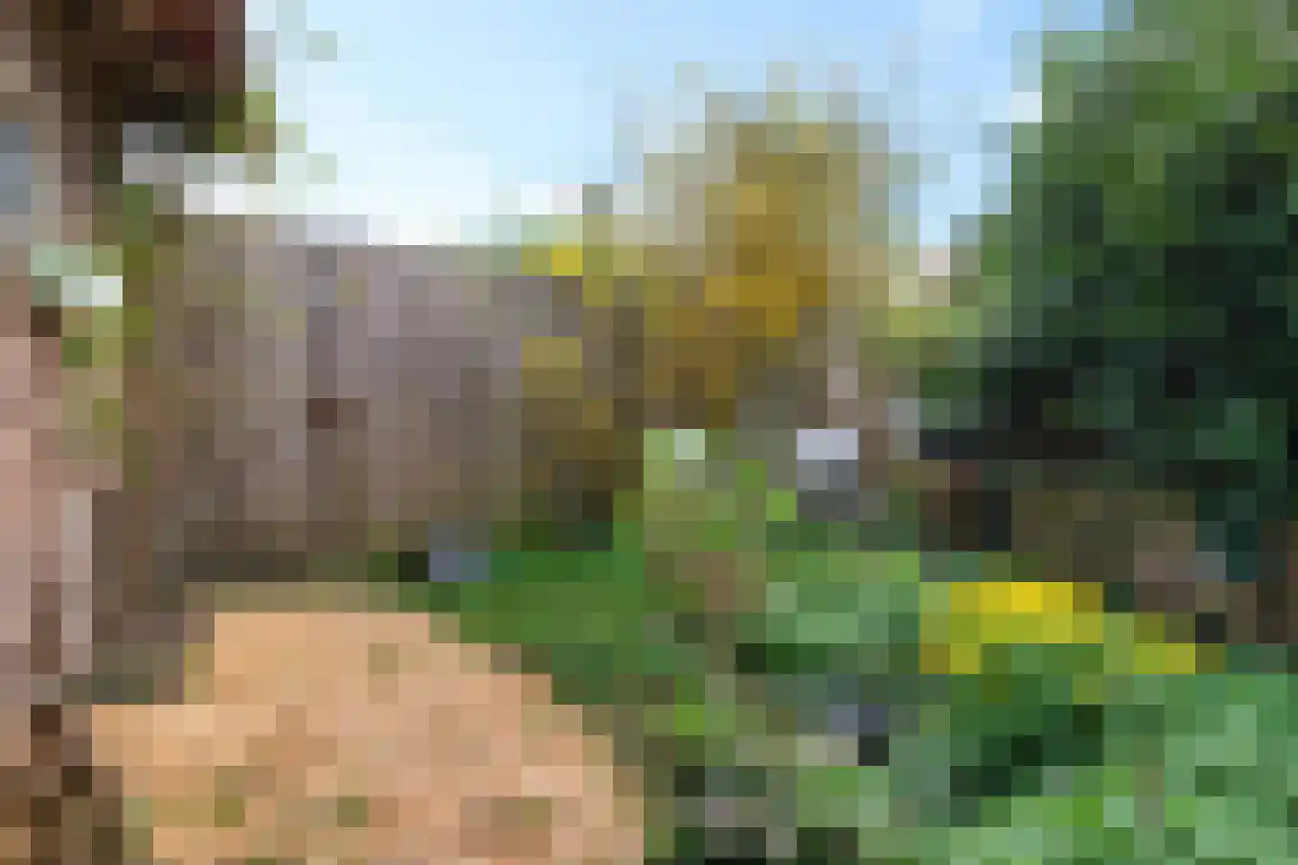 Rijklof van Goensplein 9 Haarlem thumbnail 12