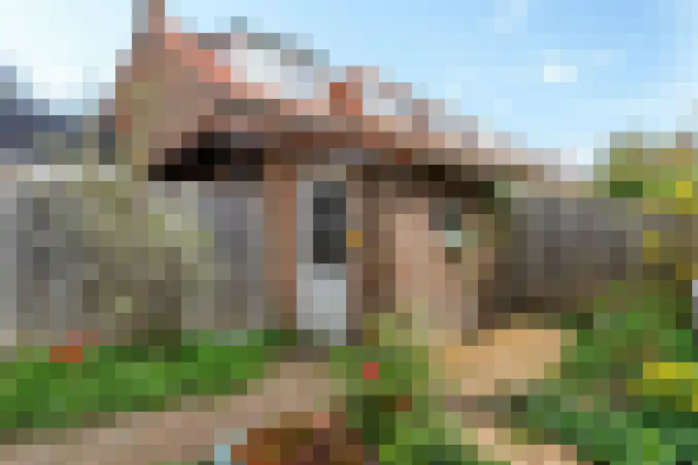 Rijklof van Goensplein 9 Haarlem thumbnail 13