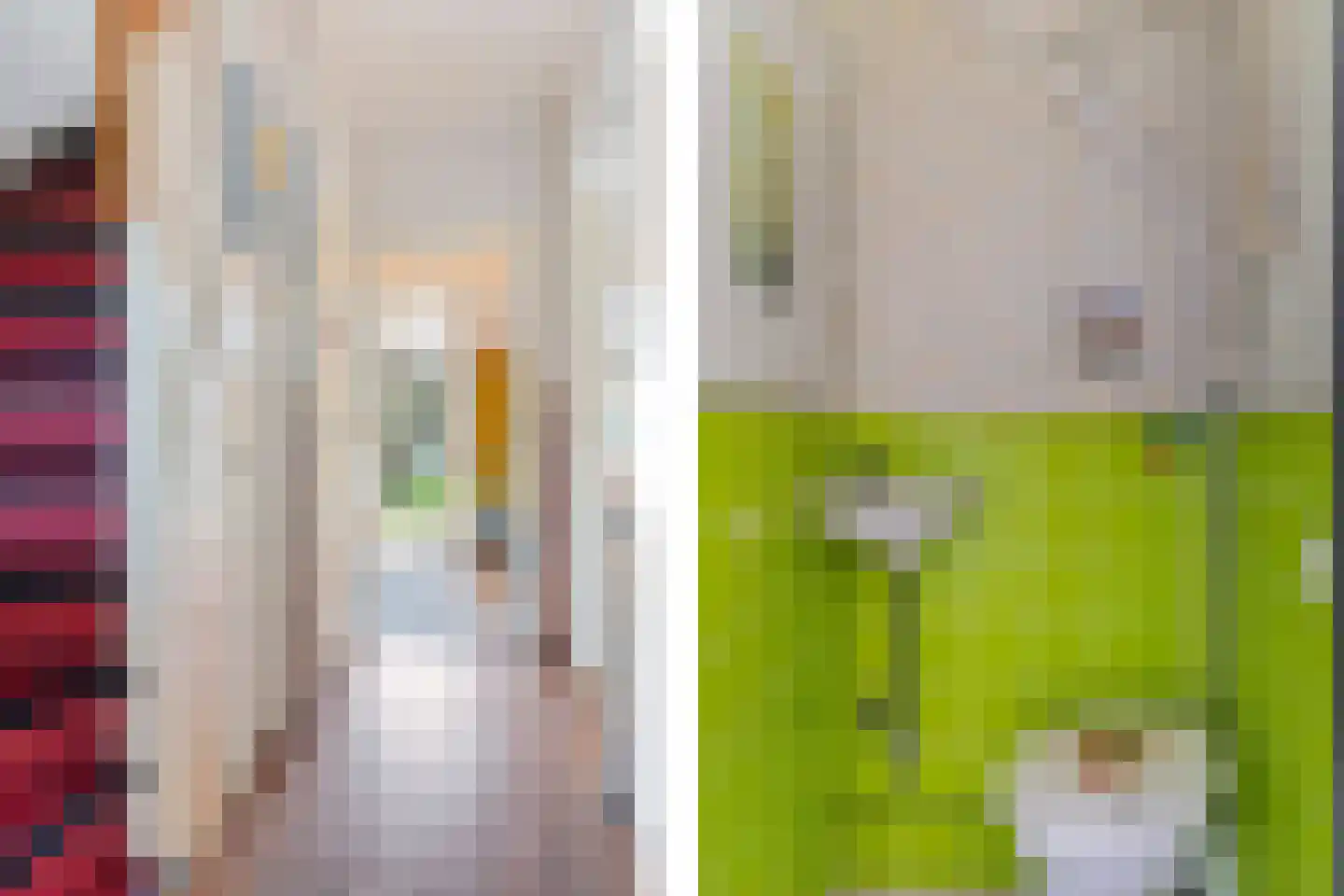 Rijklof van Goensplein 9 Haarlem thumbnail 18