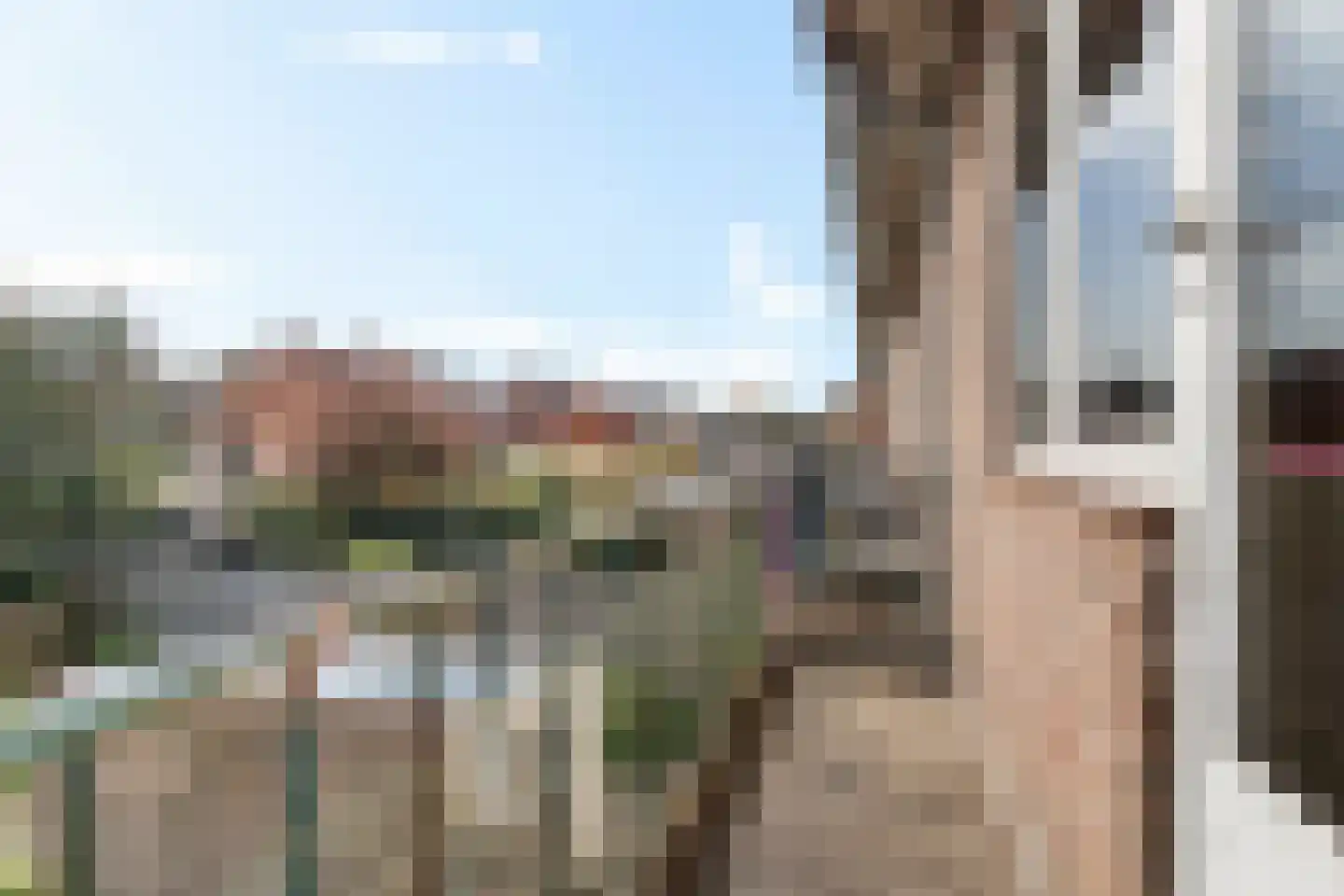 Rijklof van Goensplein 9 Haarlem thumbnail 32