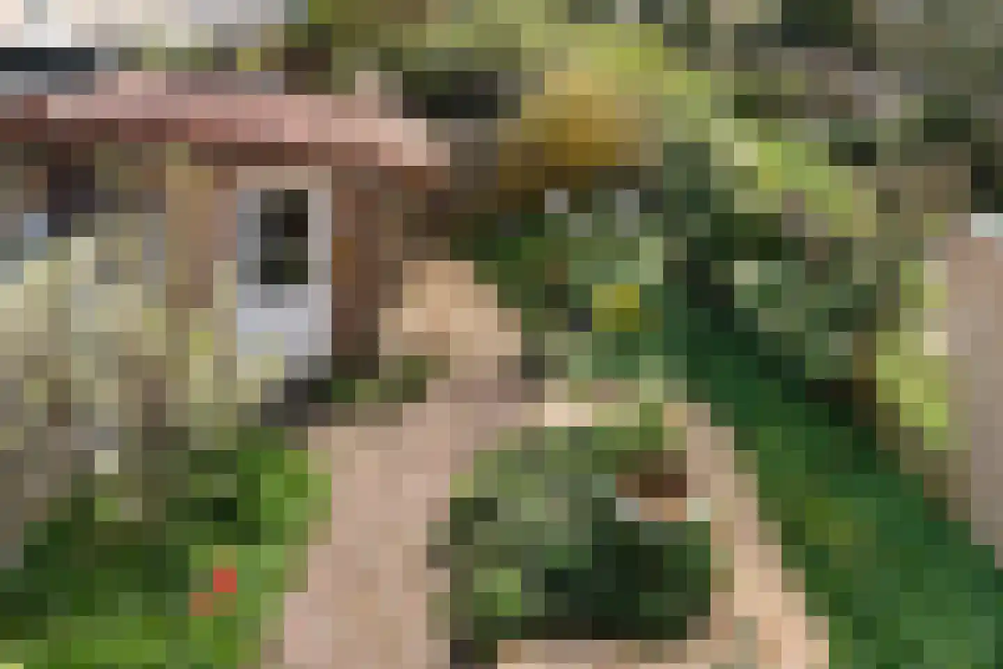 Rijklof van Goensplein 9 Haarlem thumbnail 33