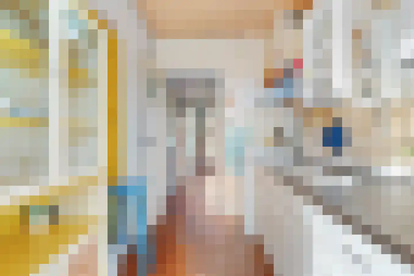 Rijklof van Goensplein 9 Haarlem thumbnail 9