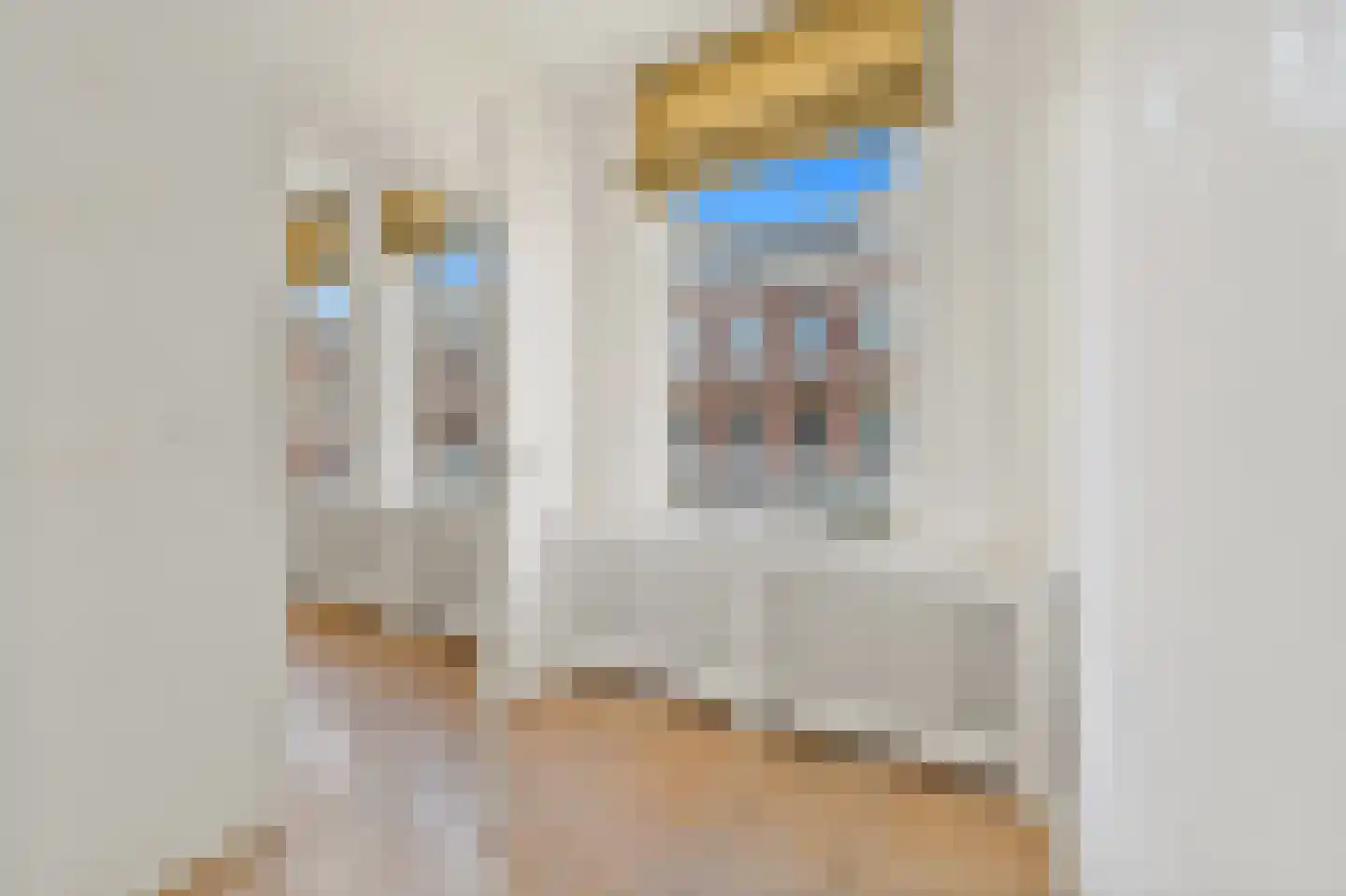 Rijklof van Goensstraat 15 Den Haag thumbnail 11