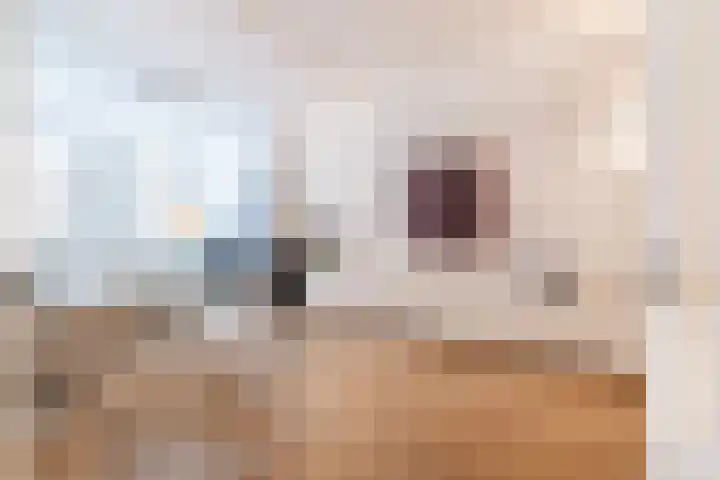 Rijklof van Goensstraat 22 Den Haag thumbnail 10