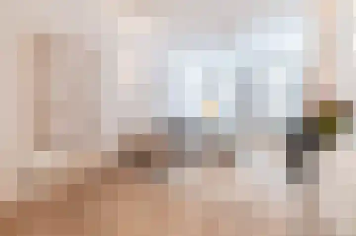 Rijklof van Goensstraat 22 Den Haag thumbnail 11