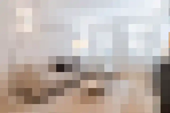 Rijklof van Goensstraat 22 Den Haag thumbnail 12