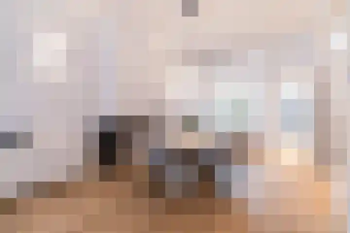Rijklof van Goensstraat 22 Den Haag thumbnail 14
