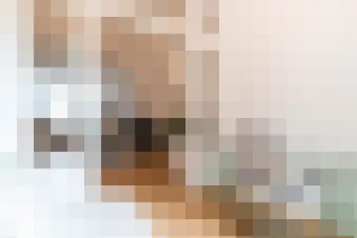 Rijklof van Goensstraat 22 Den Haag thumbnail 17