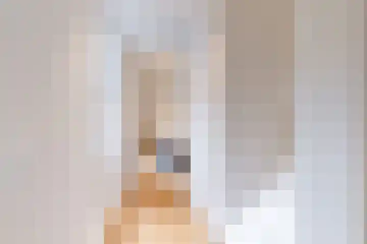 Rijklof van Goensstraat 22 Den Haag thumbnail 23